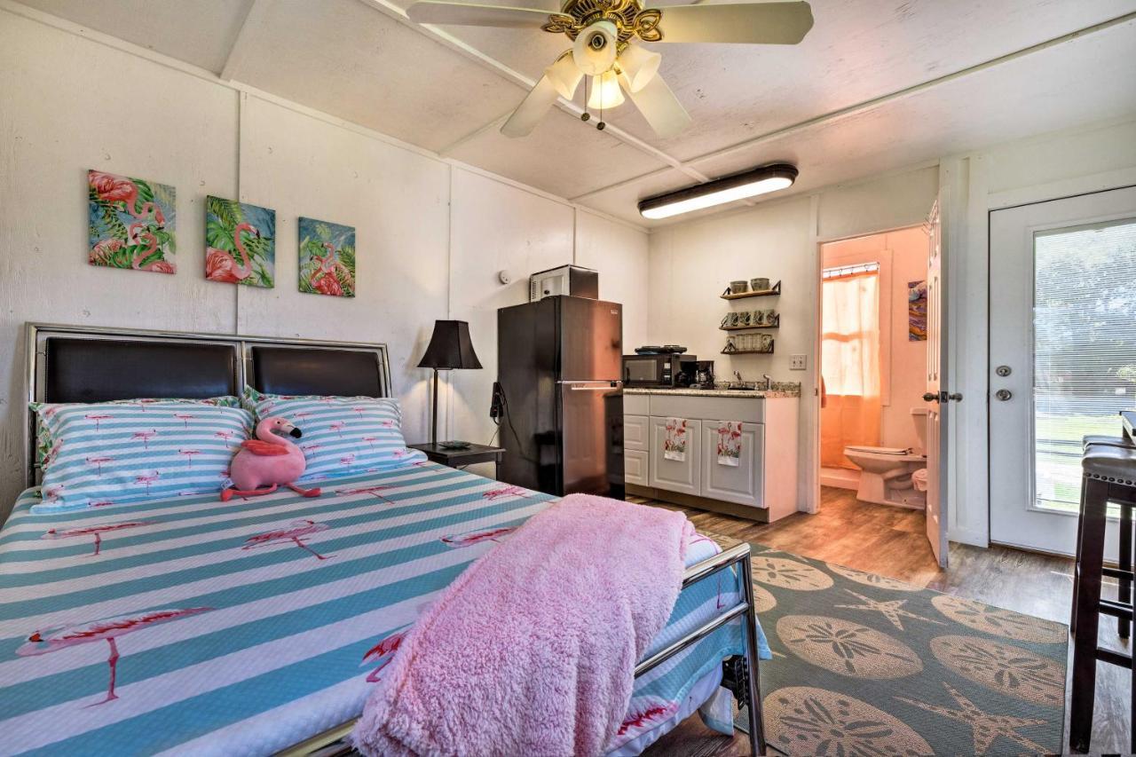 Flirty Flamingo Studio 1 Mi To Canyon Lake Exterior foto